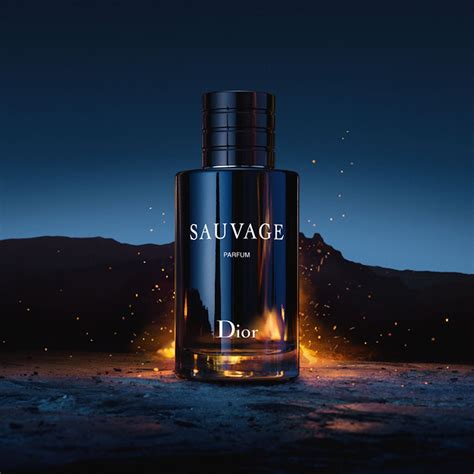 sauvage dior rasy cosmetics|dior sauvage fragrance.